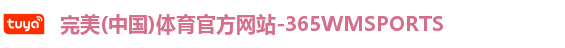 365WM完美体育